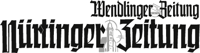 logo NTZ