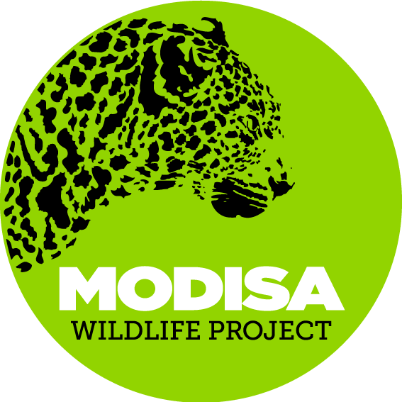Modisa Wildlife Project Logo