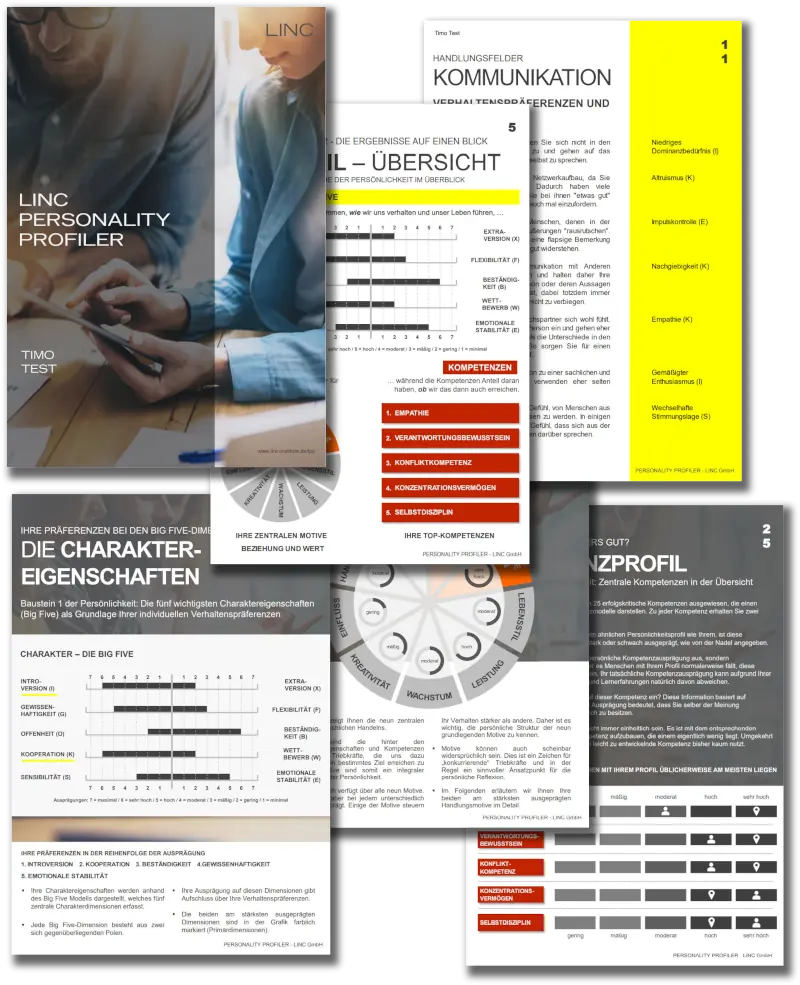 LINC Personality Profiler LINC Personality Profiler